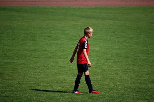 mk体育官网下载安装-俱乐部青训选拔日活动吸引众多有潜力少年参与，足球青训俱乐部招生宣传